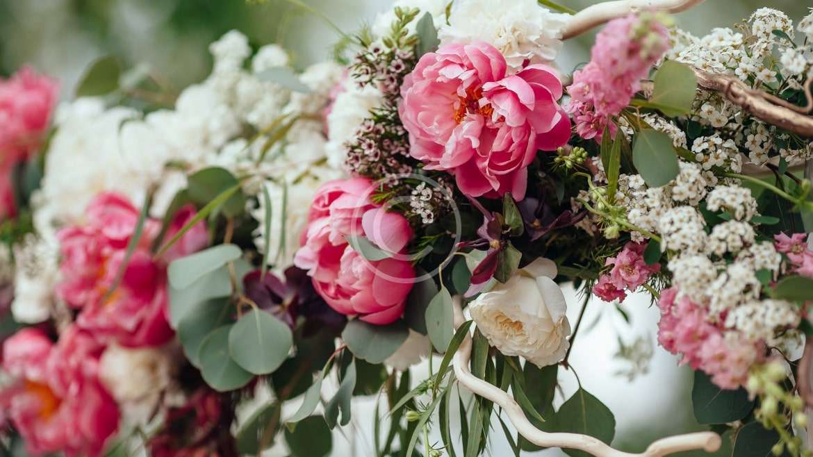 Verbinden Sie sich mit den besten Anbietern