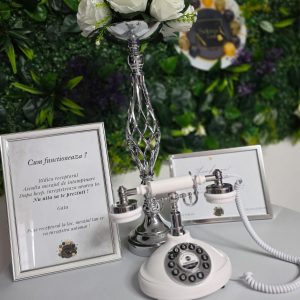 Retro-Telefon